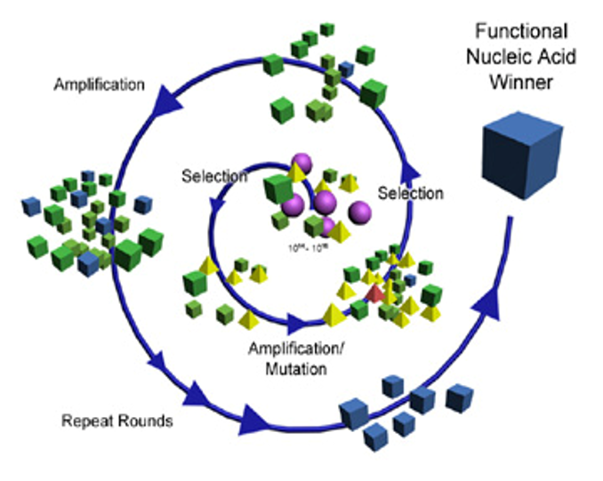 Bioanalytical Chemistry – The Lu Research Group